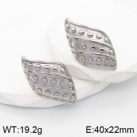 Stainless Steel Earrings  Handmade Polished  5E2003405bhva-066