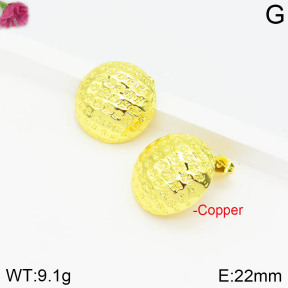 Chanel  Fashion Copper Earrings  PE0174998vbpb-J111
