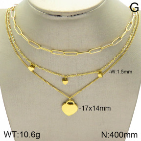Stainless Steel Necklace  2N2003618bhil-642