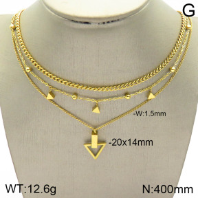 Stainless Steel Necklace  2N2003622bhil-642