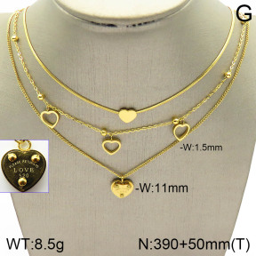 Stainless Steel Necklace  2N2003631bhil-642