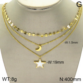 Stainless Steel Necklace  2N3001387bhil-642