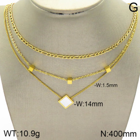 Stainless Steel Necklace  2N3001392bhil-642