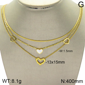 Stainless Steel Necklace  2N3001400bhil-642