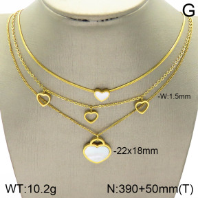 Stainless Steel Necklace  2N3001402bhil-642