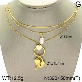 Stainless Steel Necklace  2N3001403bhil-642