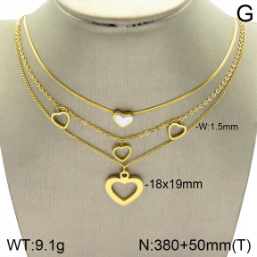 Stainless Steel Necklace  2N3001406bhil-642