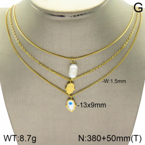Stainless Steel Necklace  2N3001410bhil-642