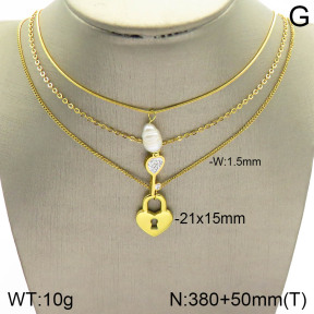 Stainless Steel Necklace  2N3001411bhil-642