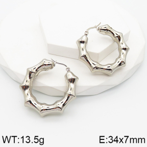 Stainless Steel Earrings  5E2003464abol-434