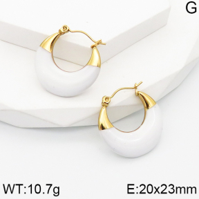 Stainless Steel Earrings  5E3001481vbnl-434