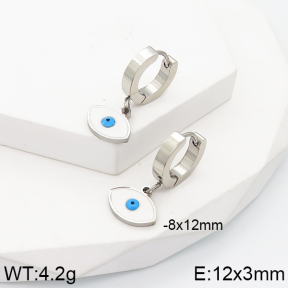 Stainless Steel Earrings  5E3001482avja-434