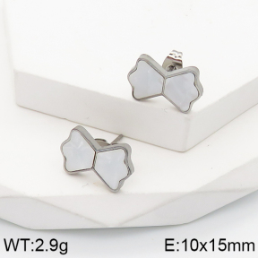 Stainless Steel Earrings  5E3001483vaia-434