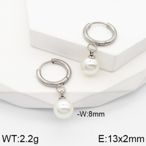 Stainless Steel Earrings  5E3001487vail-434