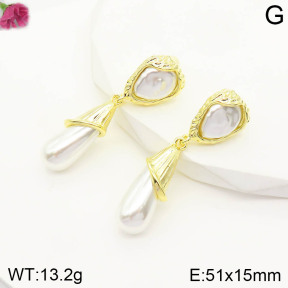 Fashion Earrings  F2E300573vhha-K69