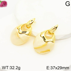 Fashion Earrings  F2E401121ahpv-K69