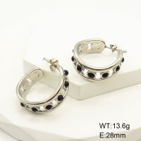 Stainless Steel Earrings  Agate,Handmade Polished  GEE001333bhia-066