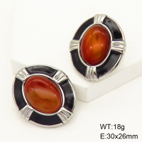 Stainless Steel Earrings  Agate & Enamel,Handmade Polished  GEE001348bhva-066