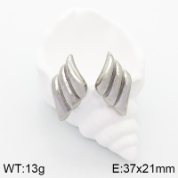 Stainless Steel Earrings  Handmade Polished  5E2003316vbpb-066