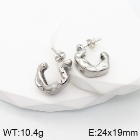 Stainless Steel Earrings  Handmade Polished  5E2003411vbpb-066