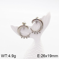 Stainless Steel Earrings  Czech Stones,Handmade Polished  5E4002728bhva-066