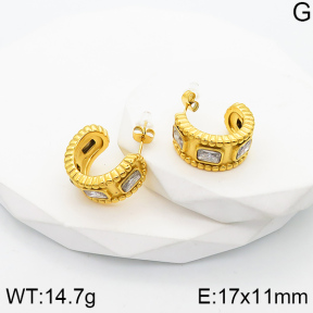 Stainless Steel Earrings  Zircon,Handmade Polished  5E4002742bhia-066