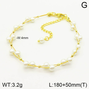 2B3002737vbmb-254  Stainless Steel Bracelet