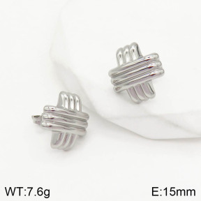 2E2002866vhha-669  Stainless Steel Earrings