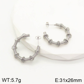 2E2002867bhia-669  Stainless Steel Earrings