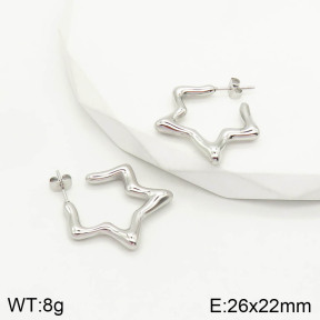 2E2002869vhha-669  Stainless Steel Earrings