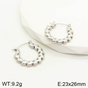 2E2002872vhha-669  Stainless Steel Earrings