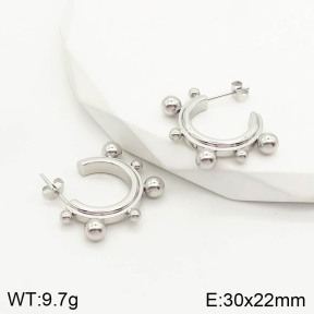 2E2002877vhkb-669  Stainless Steel Earrings