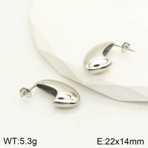 2E2002880vhha-669  Stainless Steel Earrings