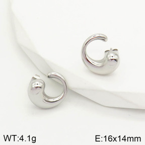 2E2002881bhia-669  Stainless Steel Earrings