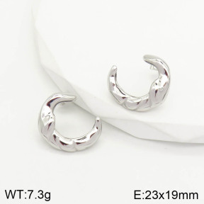 2E2002882bhil-669  Stainless Steel Earrings