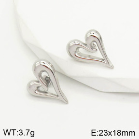 2E2002885bhil-669  Stainless Steel Earrings