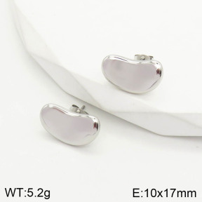 2E2002887vbpb-669  Stainless Steel Earrings