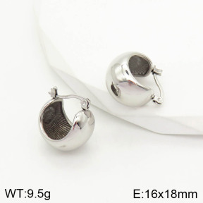2E2002890bhjl-669  Stainless Steel Earrings