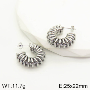 2E2002892vhha-669  Stainless Steel Earrings