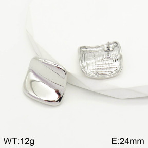 2E2002894bhil-669  Stainless Steel Earrings