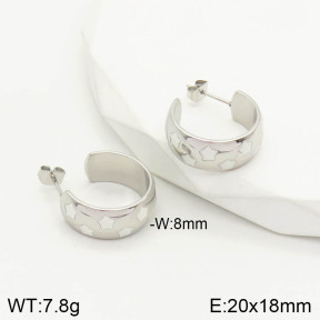 2E3001767ahjb-669  Stainless Steel Earrings