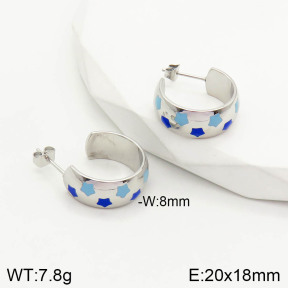 2E3001768ahjb-669  Stainless Steel Earrings
