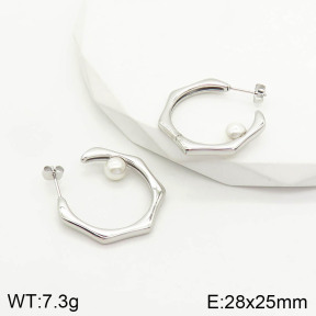 2E3001770ahjb-669  Stainless Steel Earrings