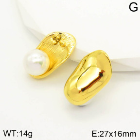 2E3001773vhll-669  Stainless Steel Earrings