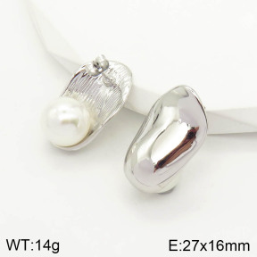 2E3001774vhll-669  Stainless Steel Earrings