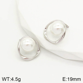 2E3001775vhha-669  Stainless Steel Earrings