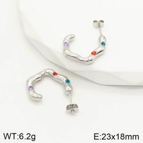 2E4002820bhia-669  Stainless Steel Earrings