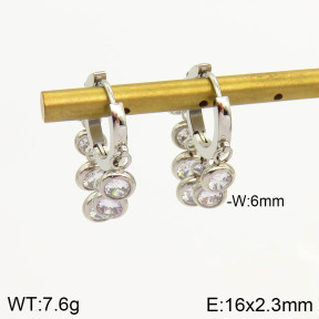 2E4002822vhkb-669  Stainless Steel Earrings