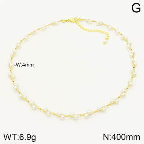 2N3001413vbpb-254  Stainless Steel Necklace