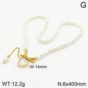 2N3001430bhia-377  Stainless Steel Necklace